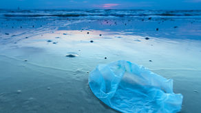 SALVEMOS NUESTRO PLANETA ERRADICA EL PLASTICO DE TU VIDA.